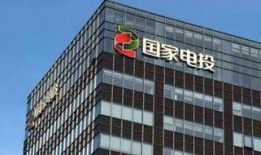 国家电投爆料新闻最新