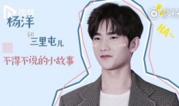 爆料视频杨洋最新,神秘事件背后的真相揭晓